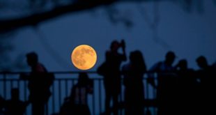 В 2017 году произойдут два солнечных и два лунных затмения