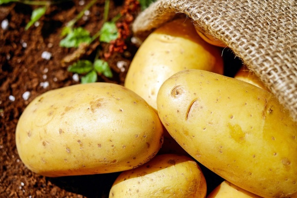 «Липецкий ЭКО продукт» взял кредит на модернизацию картофельного производства «Липецкий ЭКО продукт» взял кредит на модернизацию картофельного производства