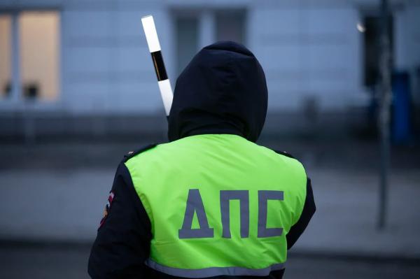 Сторонники Навального прошлись по Липецку под детские песенки 