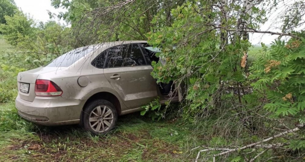 Volkswagen Polo врезался в дерево на трассе под Липецком Volkswagen Polo врезался в дерево на трассе под Липецком