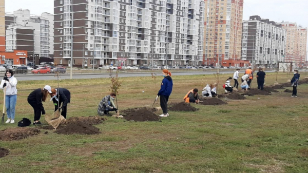 В Нижнем и Молодежном парках Липецка прошли субботники