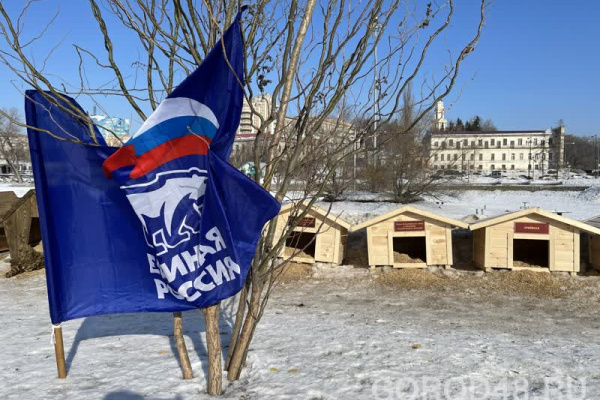 На пруду в центре Липецка неизвестные превратили зимние домики для уток в офис Единой России