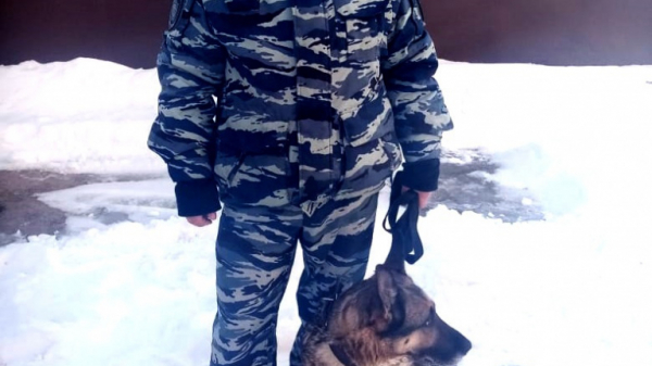 В Чаплыгине служебная собака помогла полицейским раскрыть кражу В Чаплыгине служебная собака помогла полицейским раскрыть кражу