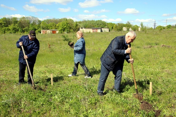 В Лебедяни Липецкой области появится парке в форме лебедей