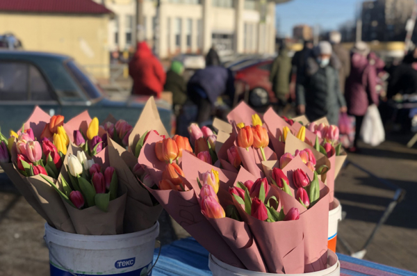 Сегодня в Липецке: февральские морозы на подходе, скрытые подтексты и Липецк уходит в торговлю