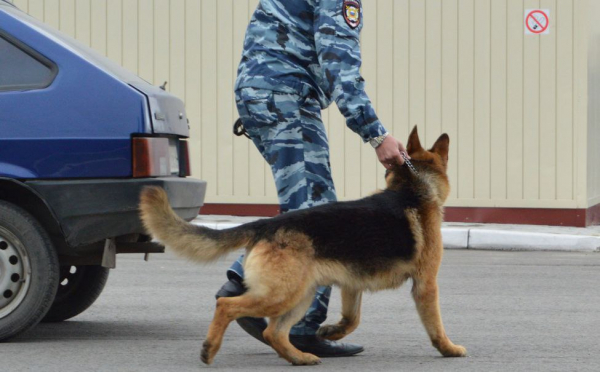 3 года грозит рецидивисту из Липецка за 2,3 г гашиша
