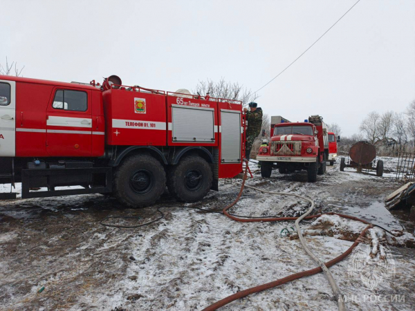 Под Липецком горящую хозпостройку тушили сотрудники МЧС и добровольцы