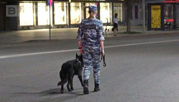 В Лебедяни Липецкой области проверяют школу №3 из-за сообщения о минировании В Лебедяни Липецкой области проверяют школу №3 из-за сообщения о минировании